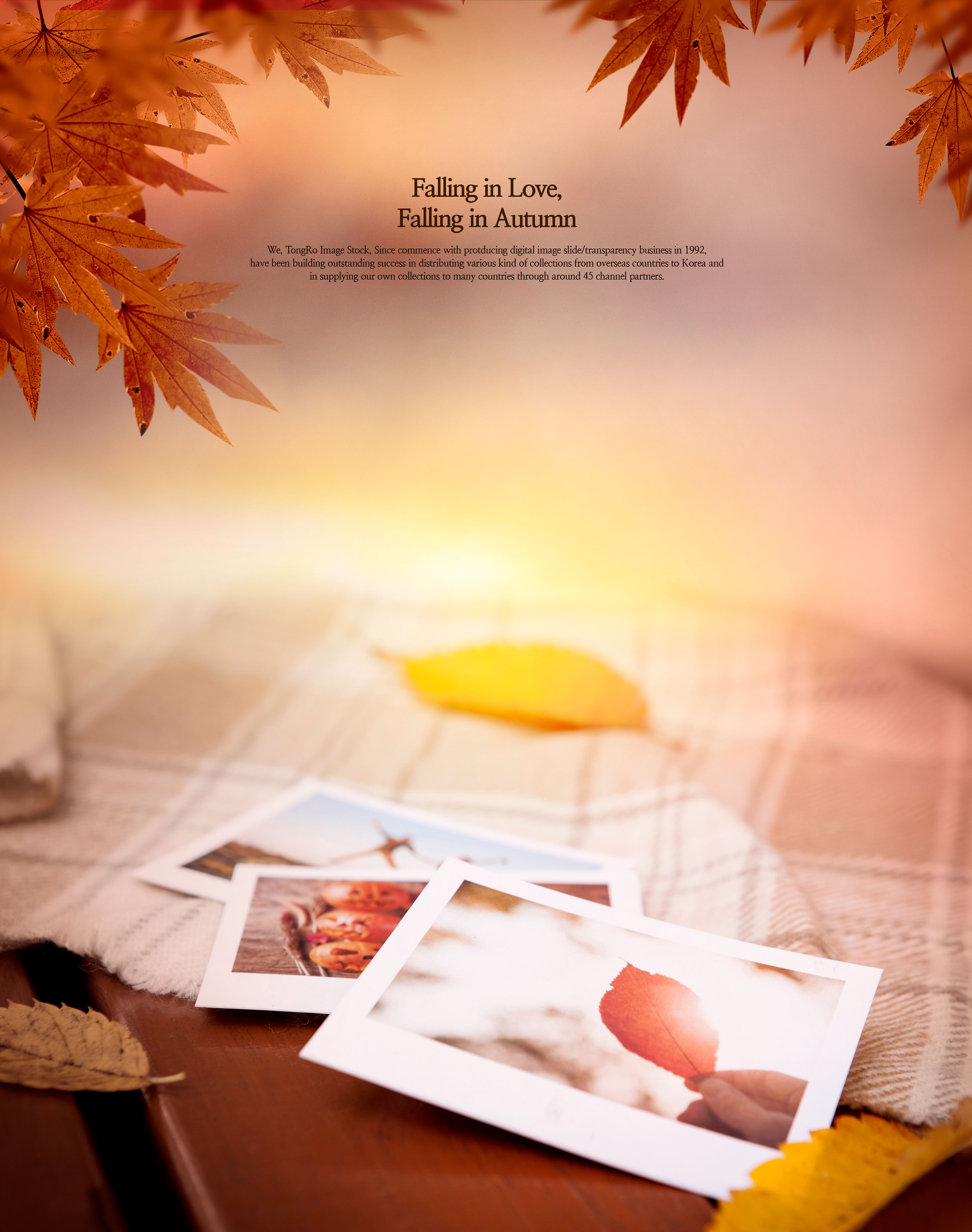 秋天浪漫爱情唯美背景海报图片素材[PSD]插图(4)