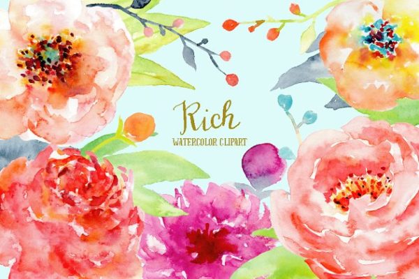 抽象彩色牡丹装饰元素水彩素材 Watercolor Peony Clipart Rich