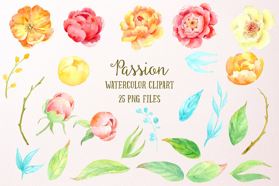激情水彩牡丹插画艺术合集 Watercolor Clipart Peony Passion插图(2)