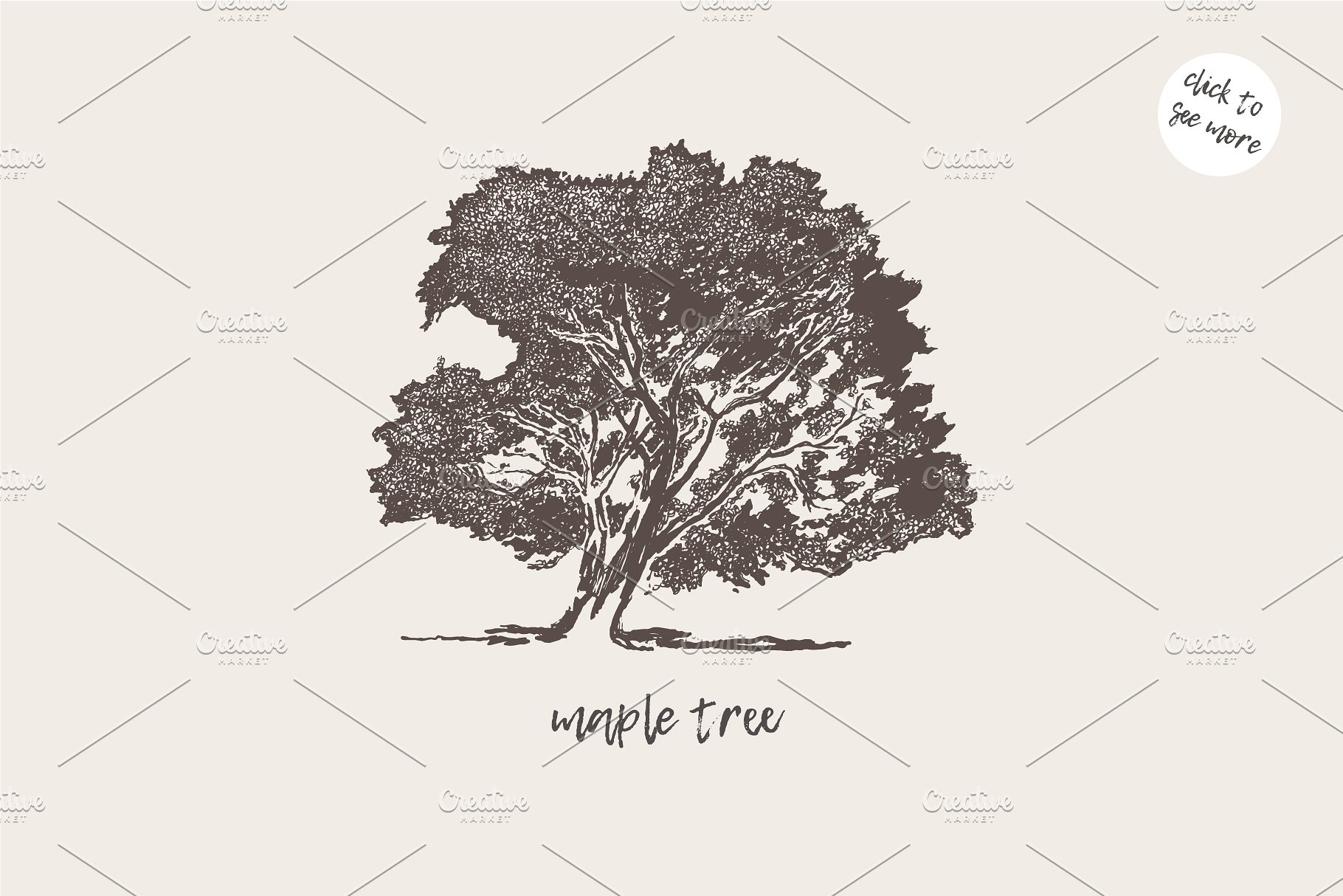 各种树木手绘矢量图形合集 Big collection of high detail trees插图(9)