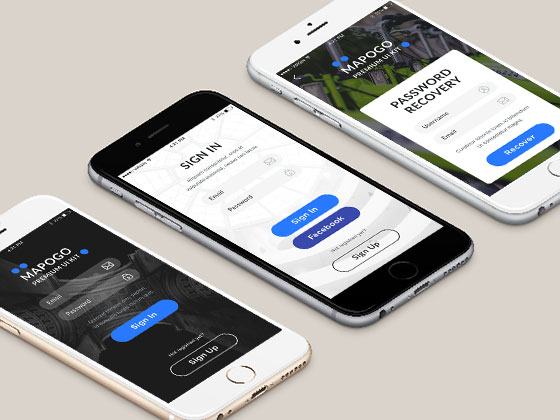 Mapogo 注册表单素材之家精选sketch素材