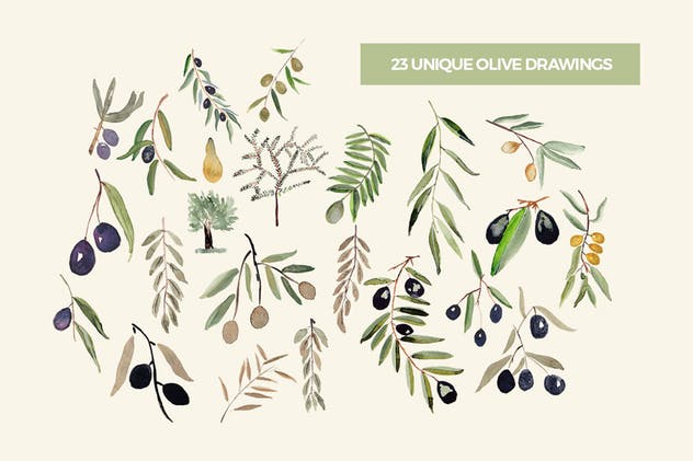 橄榄树叶水彩系列插画合集 Olive Garden Watercolor Collection插图(1)