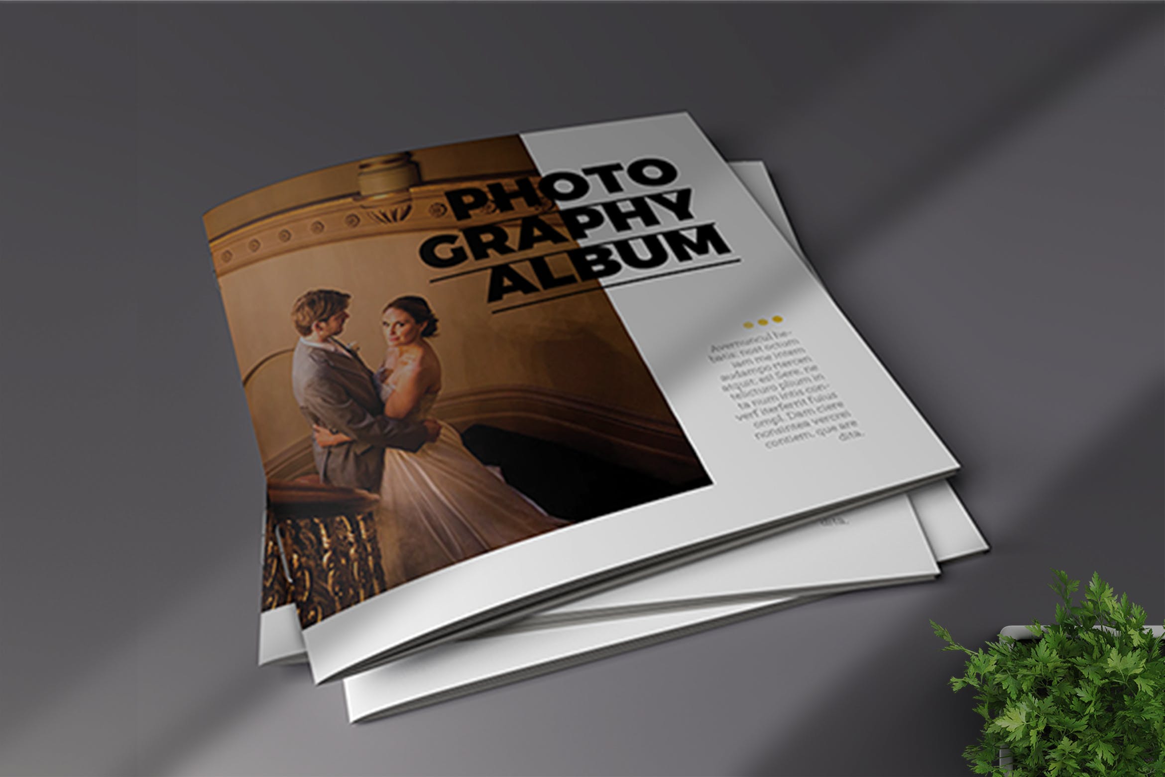 高端摄影作品集画册设计模板 Photography Album插图