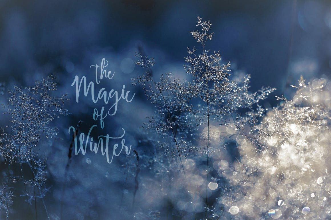 雪花之吻冬季主题手绘图案背景素材 UPDATED+ Snowflakes Winter Kisses插图(10)