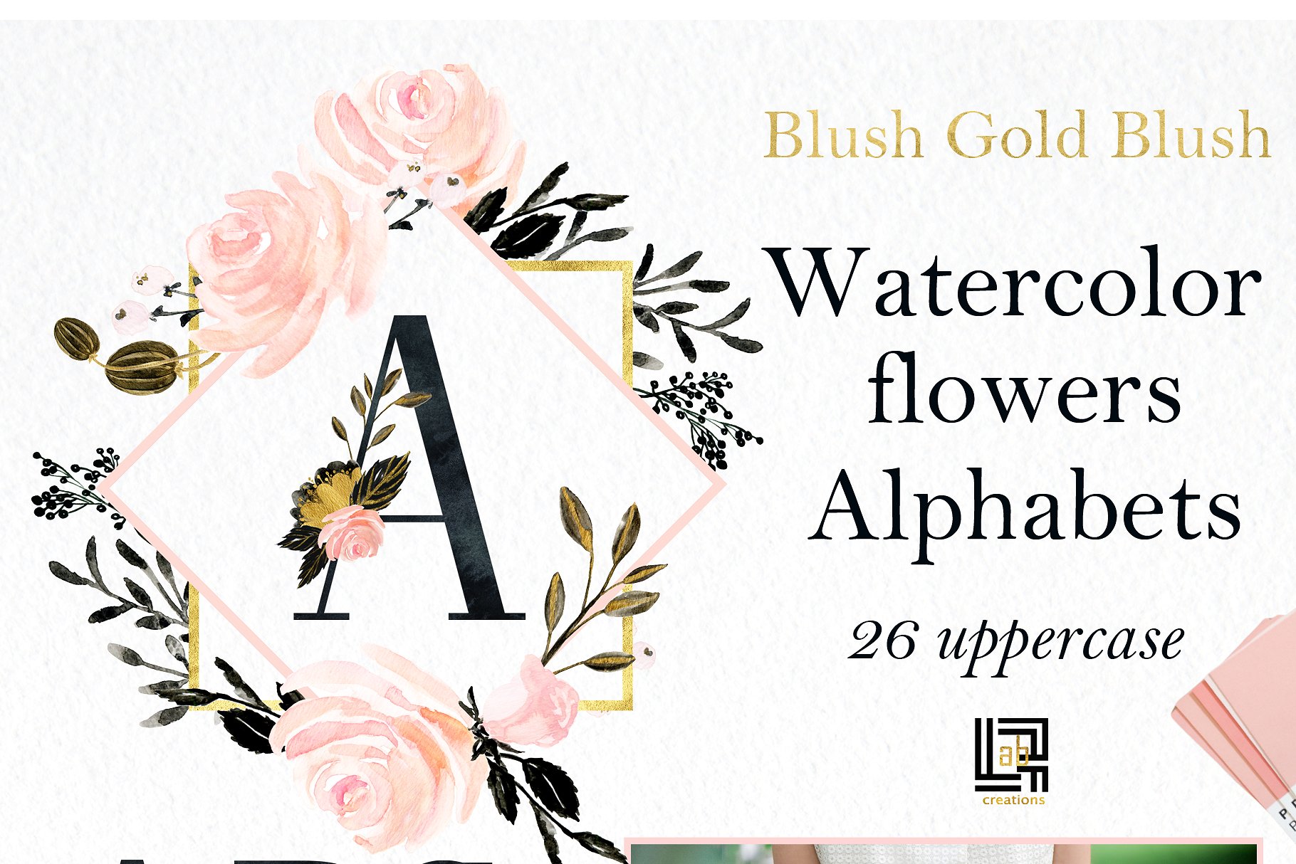 胭脂黑金水彩花卉剪贴画 Blush Gold Black. Floral graphics.插图(6)