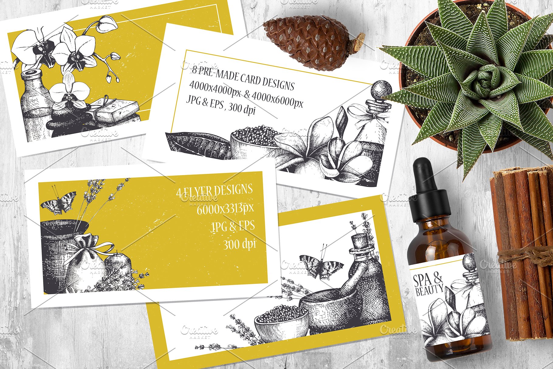 西方美容美妆设计素材 Beauty & SPA Designs Collection插图(2)