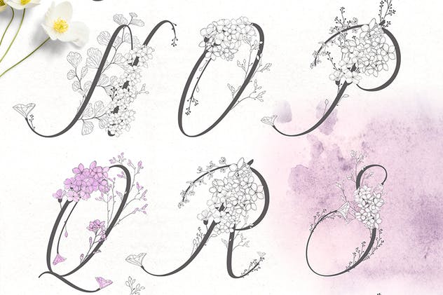 手绘花式单字字母和Logo设计素材收藏 Flowered Monogram & Logo Collection插图(3)