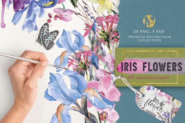 DIY水彩鸢尾花卉插画v1 Watercolor DIY "IRIS" vol.1