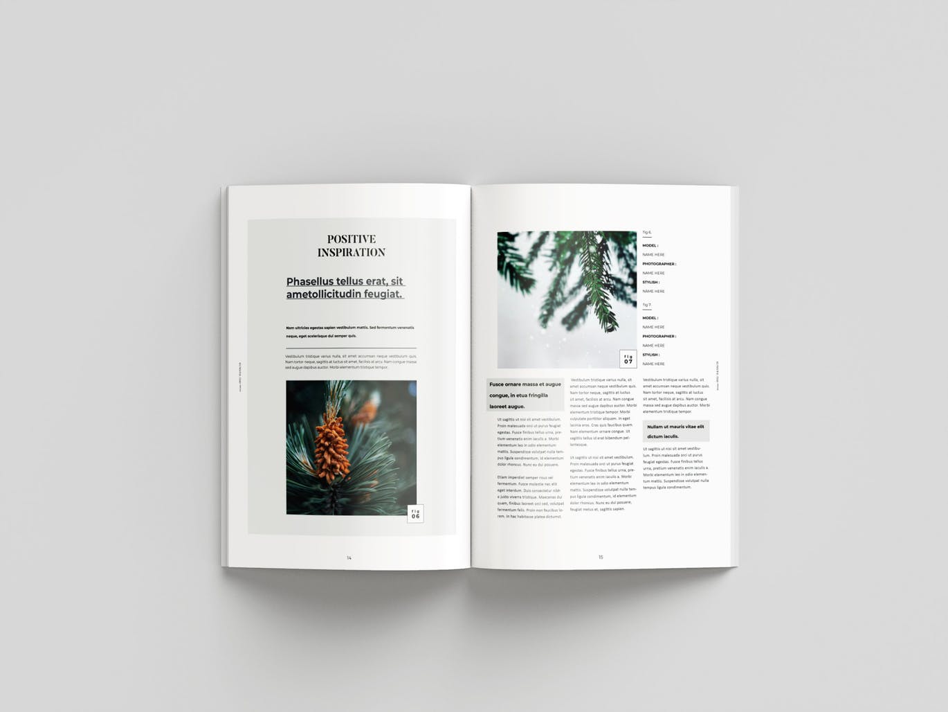 旅行/摄影/品牌主题杂志设计INDD模板 Magazine插图(7)