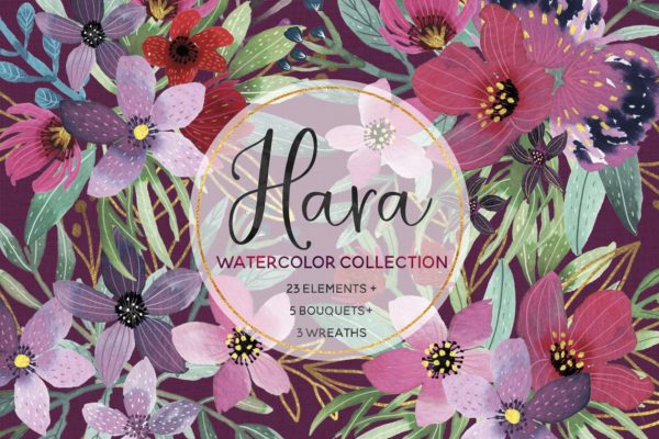 万紫千红水彩花卉插画合集 Hara Watercolor Collection