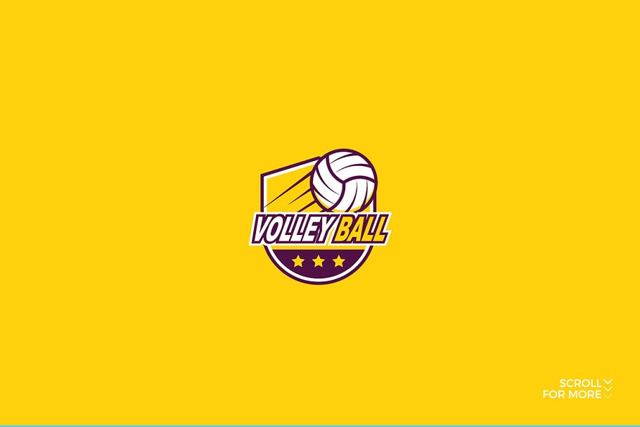 体育运动主题Logo模板合集 Sport Logo Bundle插图(11)