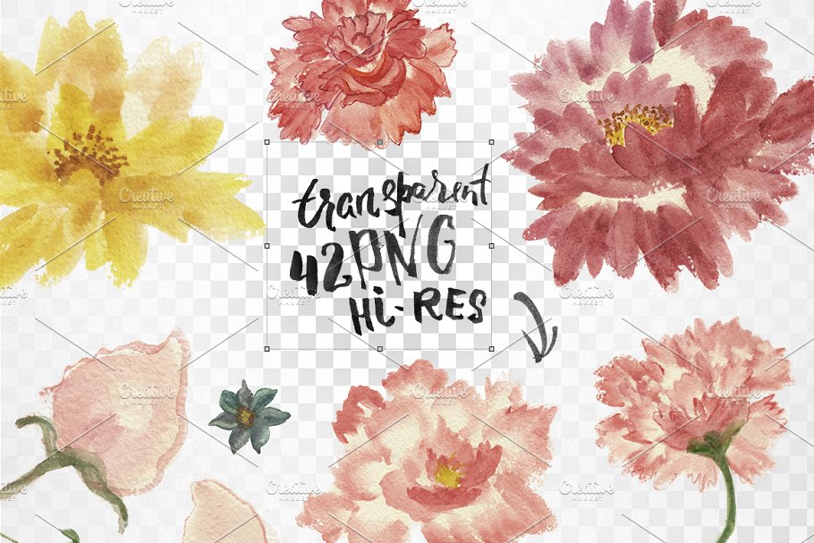 DIY水彩花卉素材集 Watercolor flower DIY Pack插图(2)