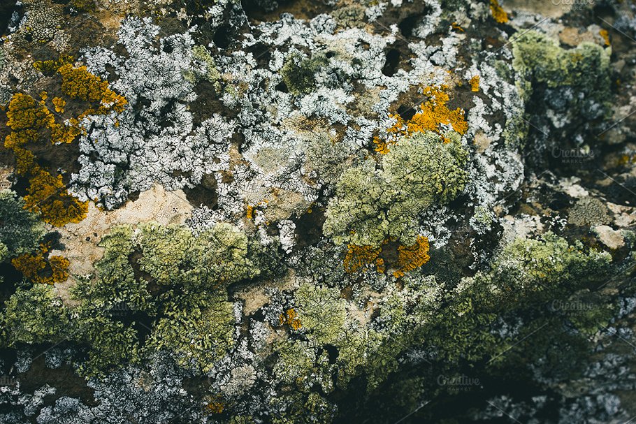 高清自然真实岩石石头照片素材 Rock Solid – Rock & Stone Collection插图(15)