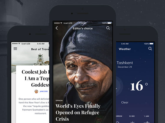 Ally 博客应用界面素材之家精选sketch素材