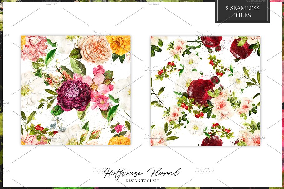数码绘制温室花卉设计素材包(独立花卉元素&花式字母数字) Hothouse Floral Design ToolKit插图(19)