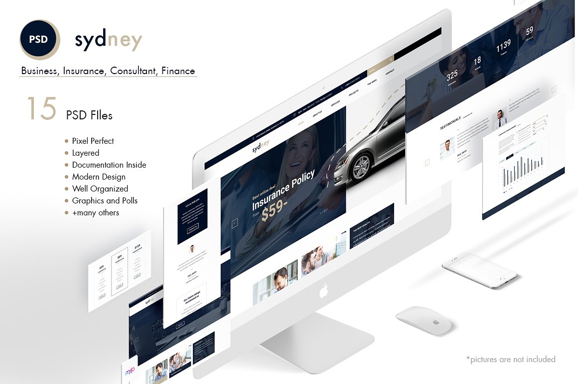 金融咨询类企业网站 PSD 模板 Sydney- Premium Finance Business PSD插图