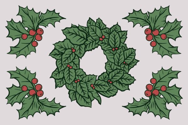 圣诞节浆果&amp;树叶矢量手绘矢量素材 Christmas Autumn Berries Drawing