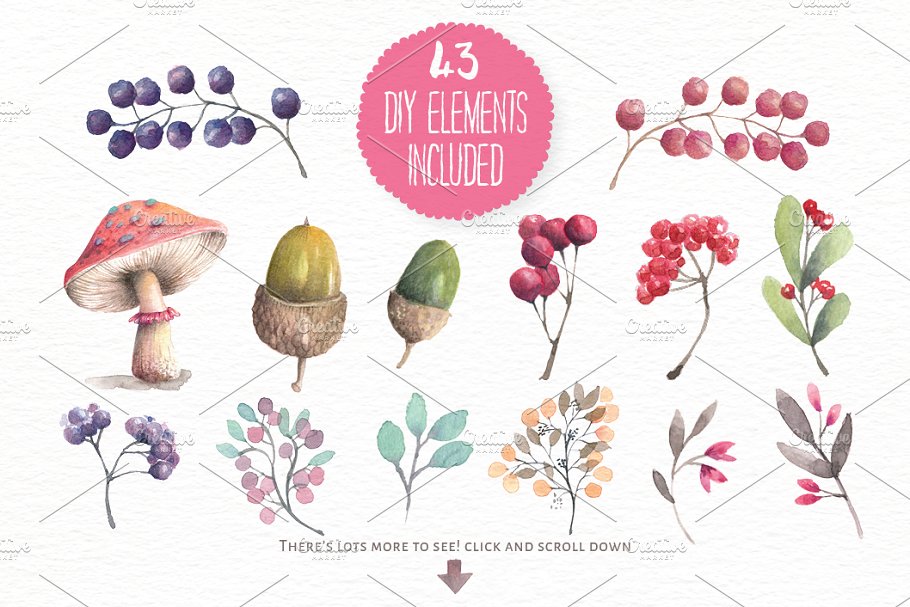 水彩动物&花卉插画合集 Watercolor animals & flowers vol 3插图(6)