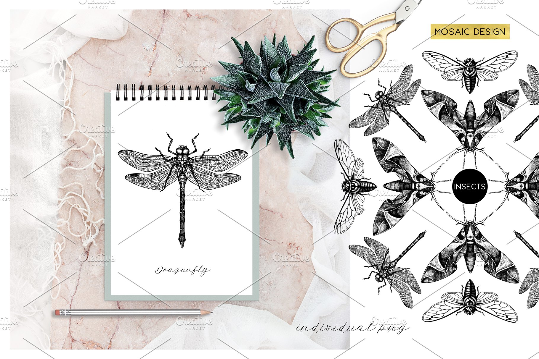 昆虫矢量插图集 Vector Insects Illustrations Set插图(7)