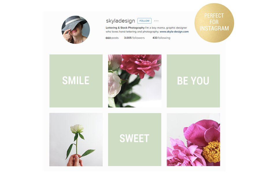 粉红牡丹场景装饰样机模板 Pink peonies stock & mockups插图(1)