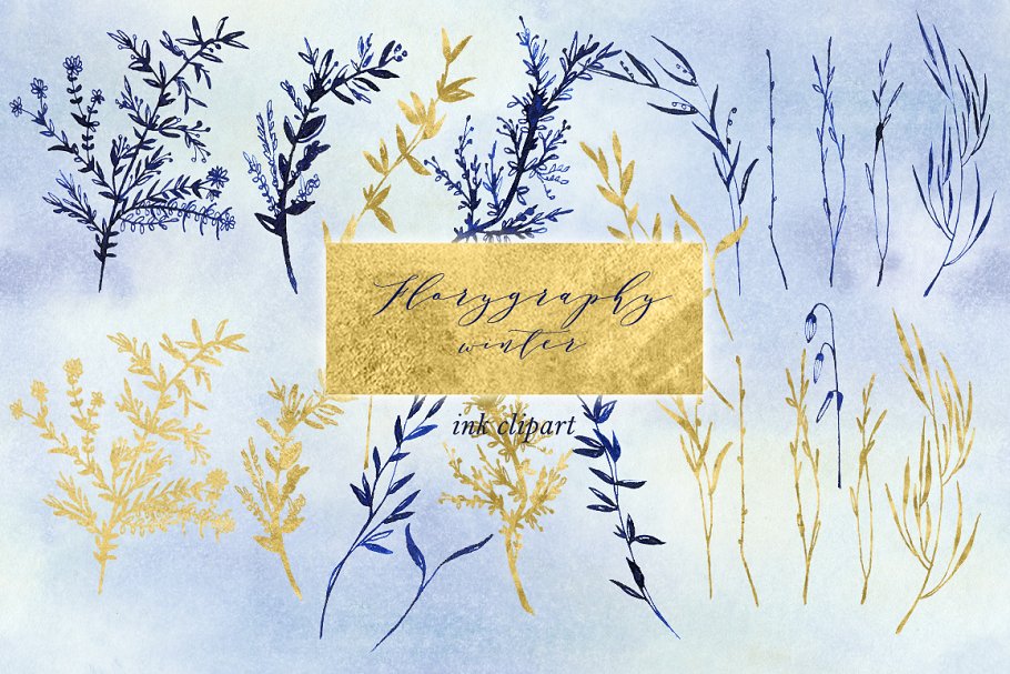 冬季植物志墨水剪贴画 Florygraphy winter. Ink clipart.插图