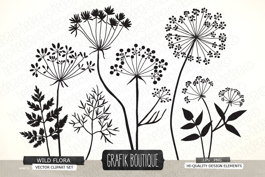 野生草本花卉矢量剪贴画 Wild Herbs Flowers silhouette vector插图(1)