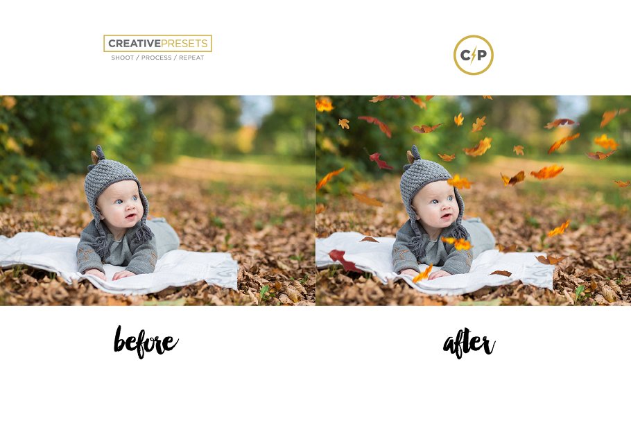 秋季枫叶落叶叠层背景 Falling Leaves Overlays插图(11)