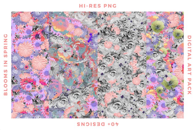 梦幻春天花卉图案纹理合集 Blooms in Spring插图(2)