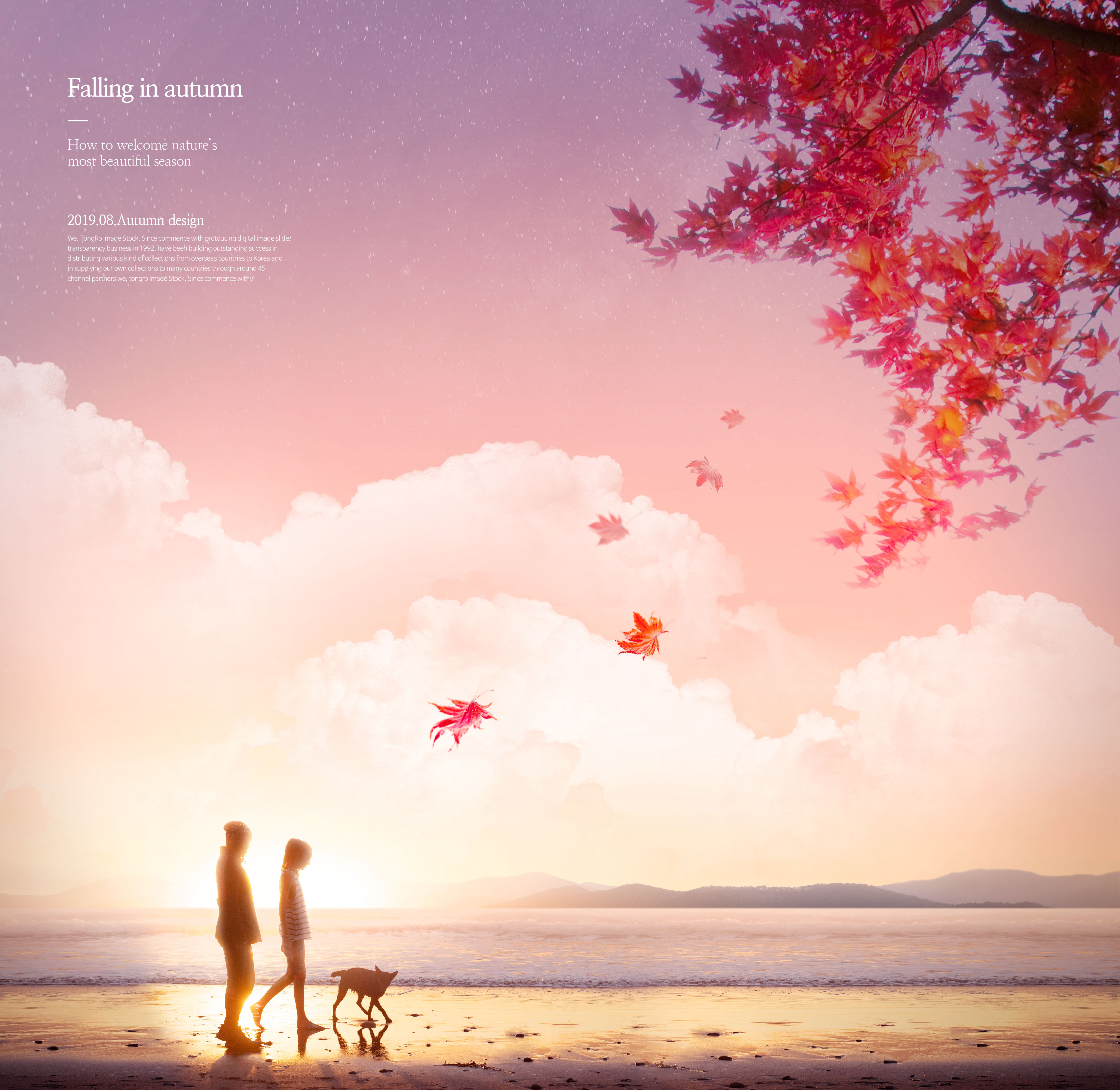 唯美秋天季节主题海报图片psd素材插图(6)