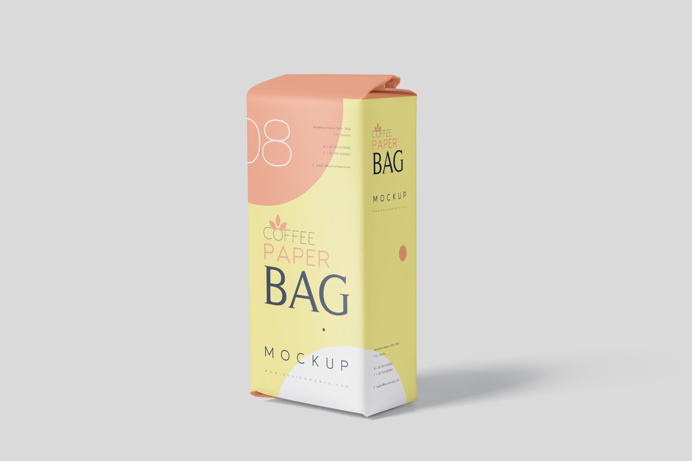咖啡粉/咖啡豆纸袋包装素材库精选模板 Coffee Paper Bag Mockup Set插图