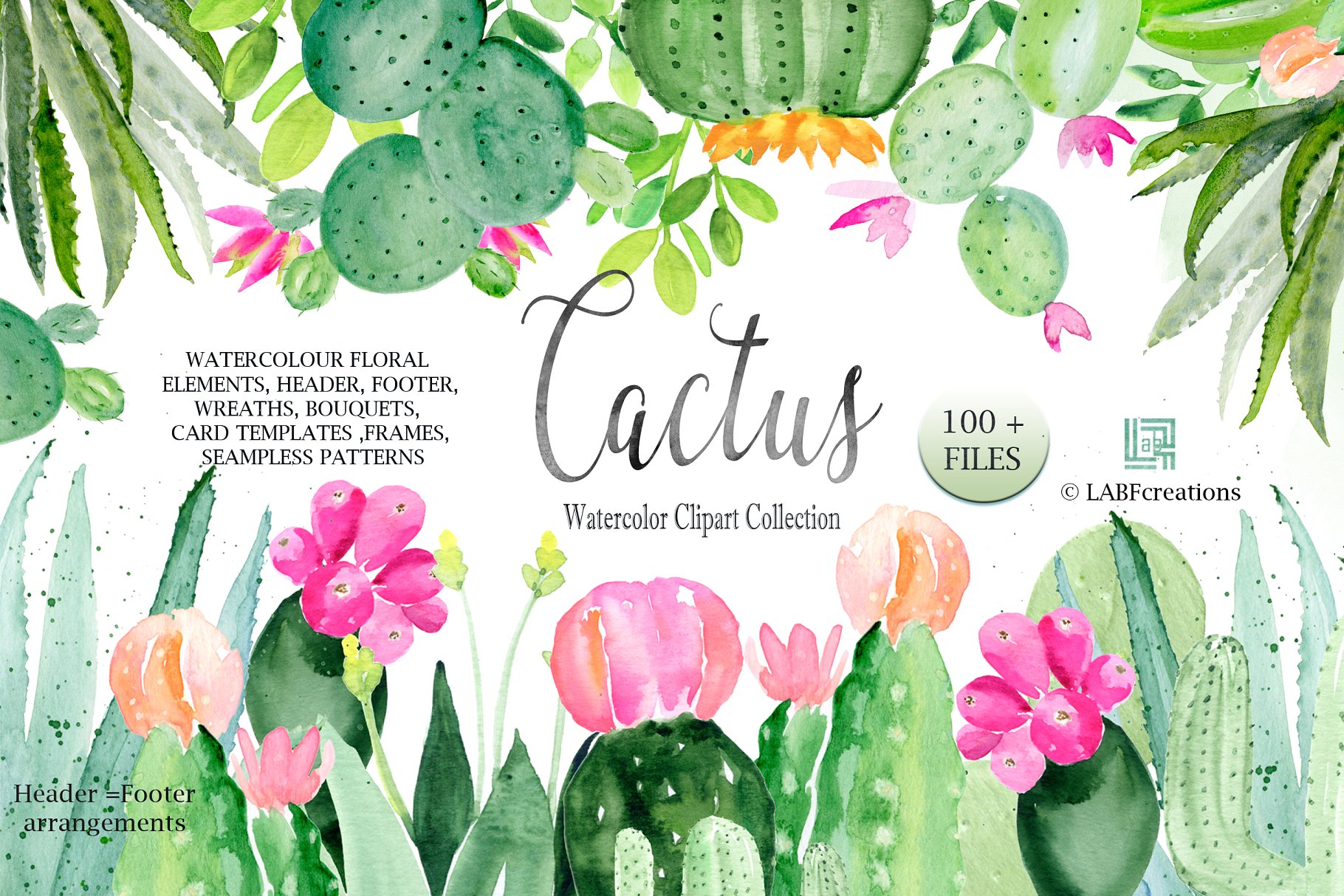 仙人掌水彩剪贴画合集 Cactus watercolr clipart collection插图(3)