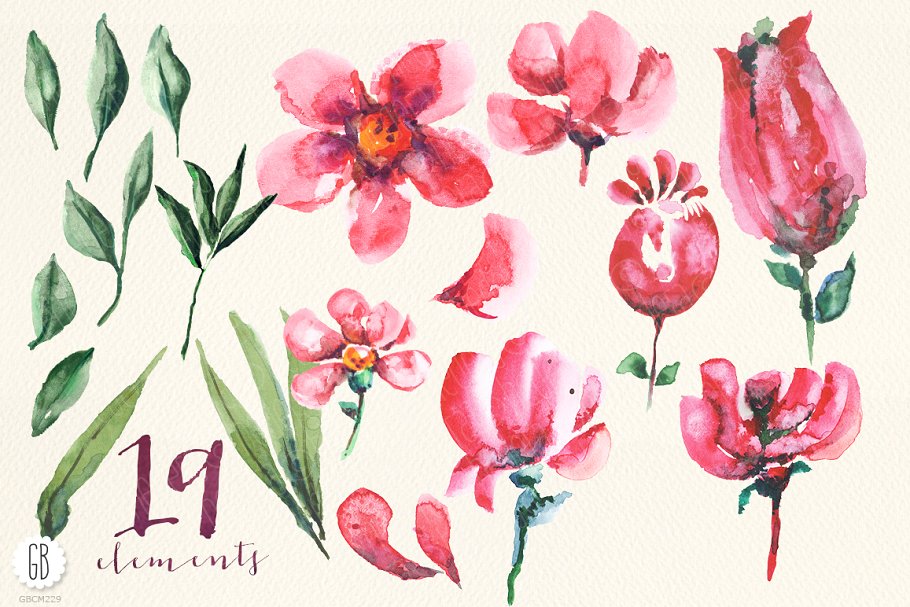 半透明红色花卉水彩剪贴画 Aquarelle watercolor red flowers插图(2)