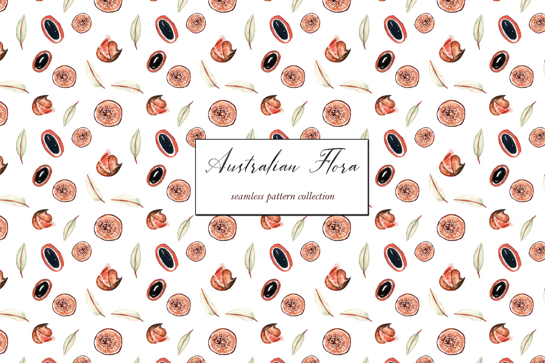 澳大利亚植物水彩剪贴画 Australian Flora Premium watercolor插图(11)