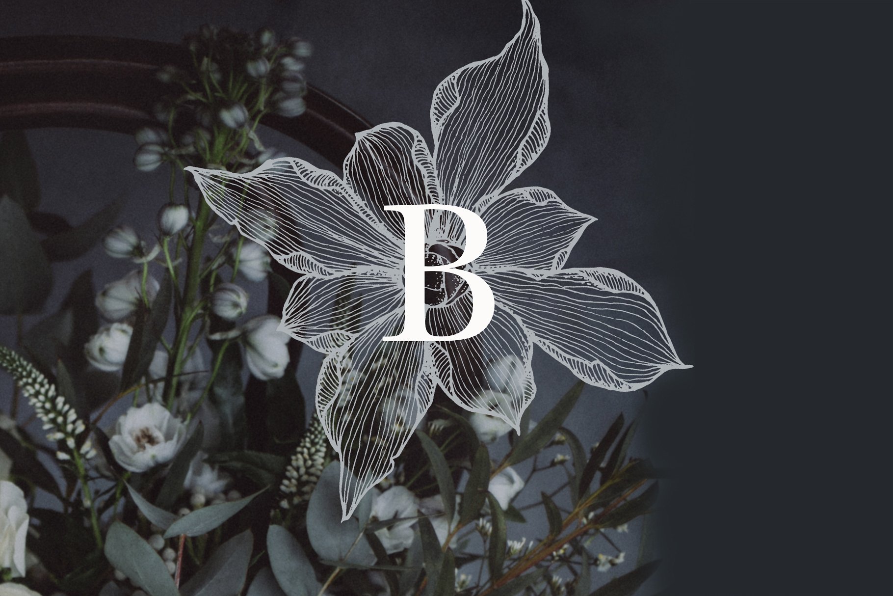 虚实结合黑色背景手绘矢量花卉图形素材 Black Orchid Illustration Set插图(2)