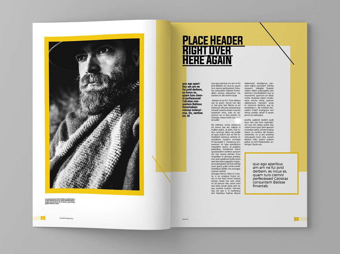 新闻采访/人物杂志设计INDD模板 Gooldie – Magazine Template插图(4)