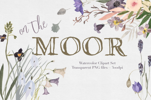 淡雅手绘水彩花卉剪贴画合集 On the Moor Watercolor Florals