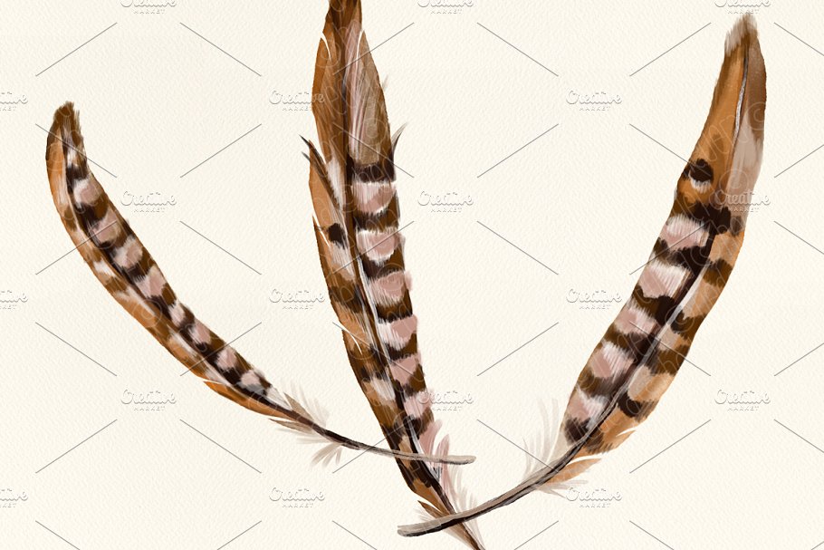 羽毛木棍水彩剪贴画 Watercolor feathers talking sticks插图(3)