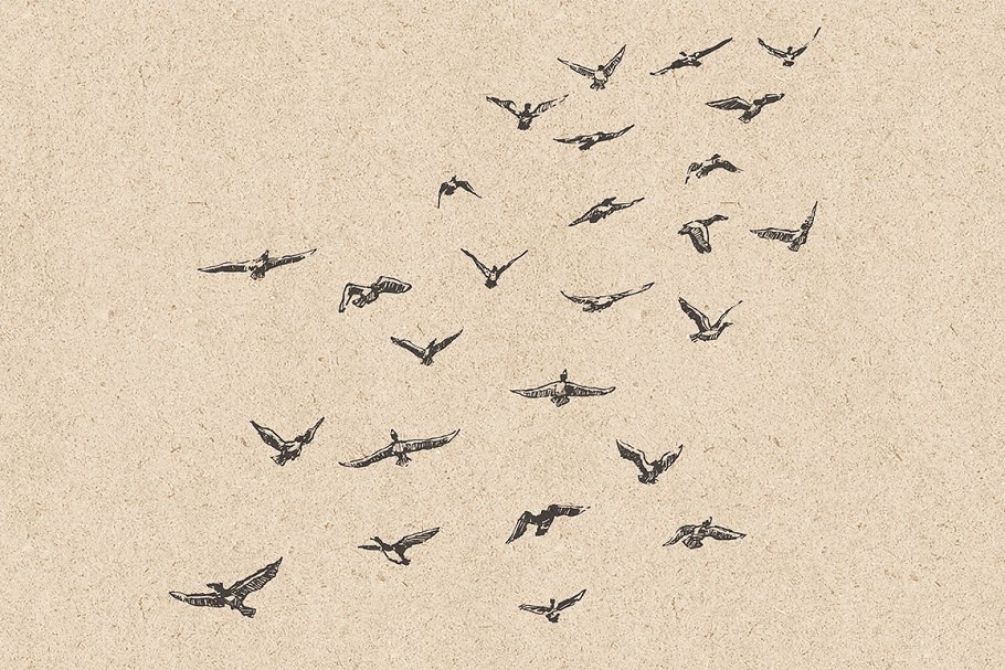 鸟群素描设计素材 Flocks of birds, sketch style插图(2)