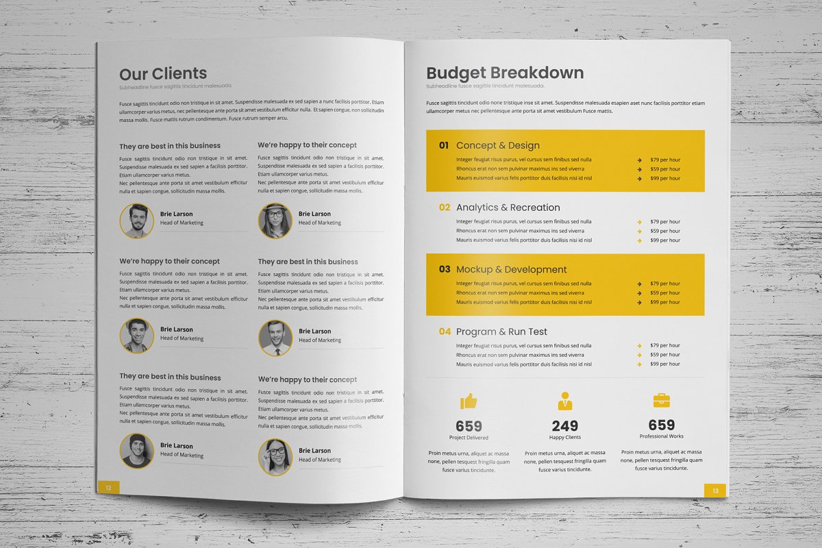 商业项目业务提案手册设计模板插图(10)