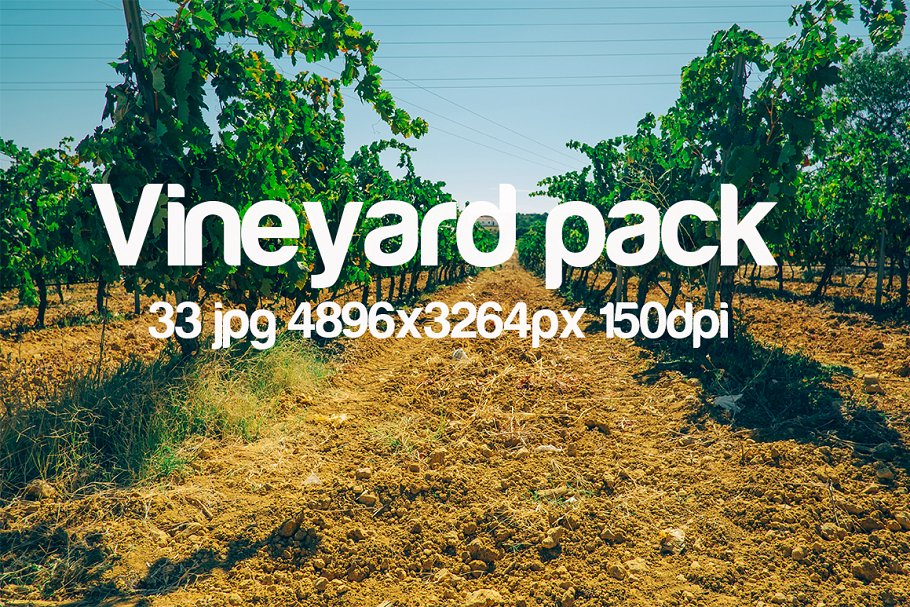 葡萄园主题高清照片合集 Vineyard photo bundle插图(3)