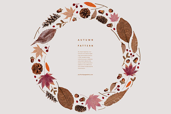 秋季叶子&野果图案背景psd素材