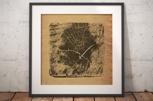 20种横切面木质纹理素材合集 Wooden Block Textures插图(10)