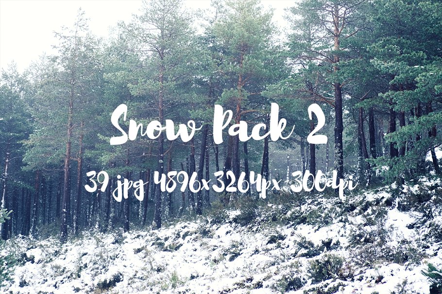 白雪茫茫雪景高清照片素材 Snow Photo Pack II插图(9)