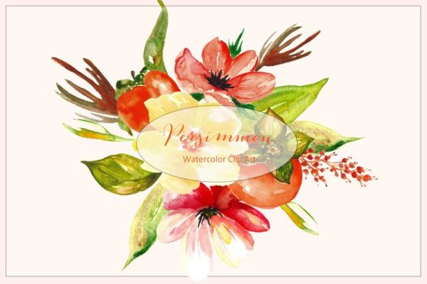 水彩柿子水果花卉橘色艺术剪贴画 Persimmon. Orange watercolor Clipart