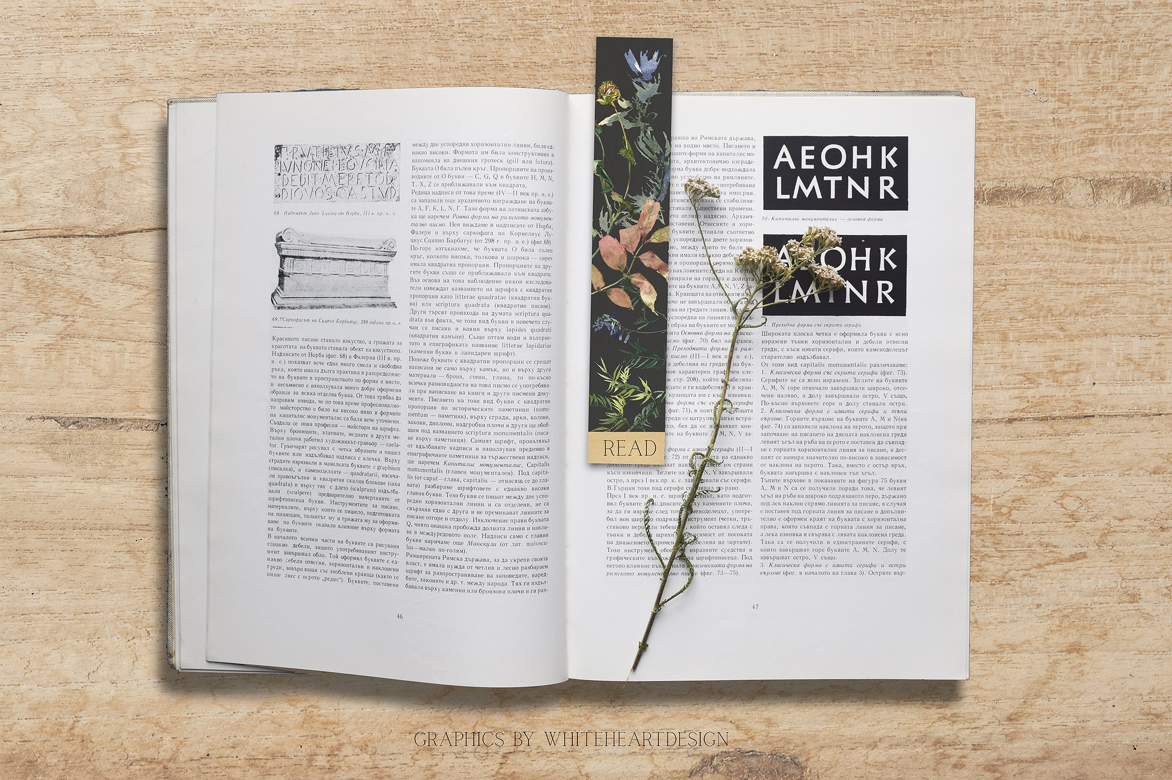 辛辣植物&花卉水彩剪贴画 Spicy Fall Watercolor Leaves Clipart插图(14)