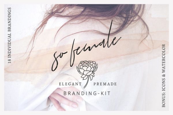 女性品牌VI视觉设计素材包[Logo模板/图标/水彩元素] So Female Branding Kit + Icons &amp; Watercolours