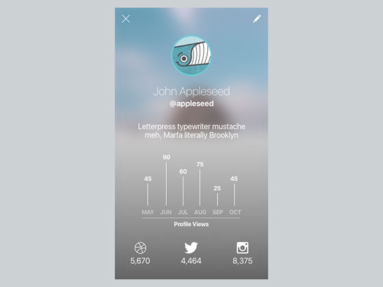 Simple User Profile素材之家精选sketch素材