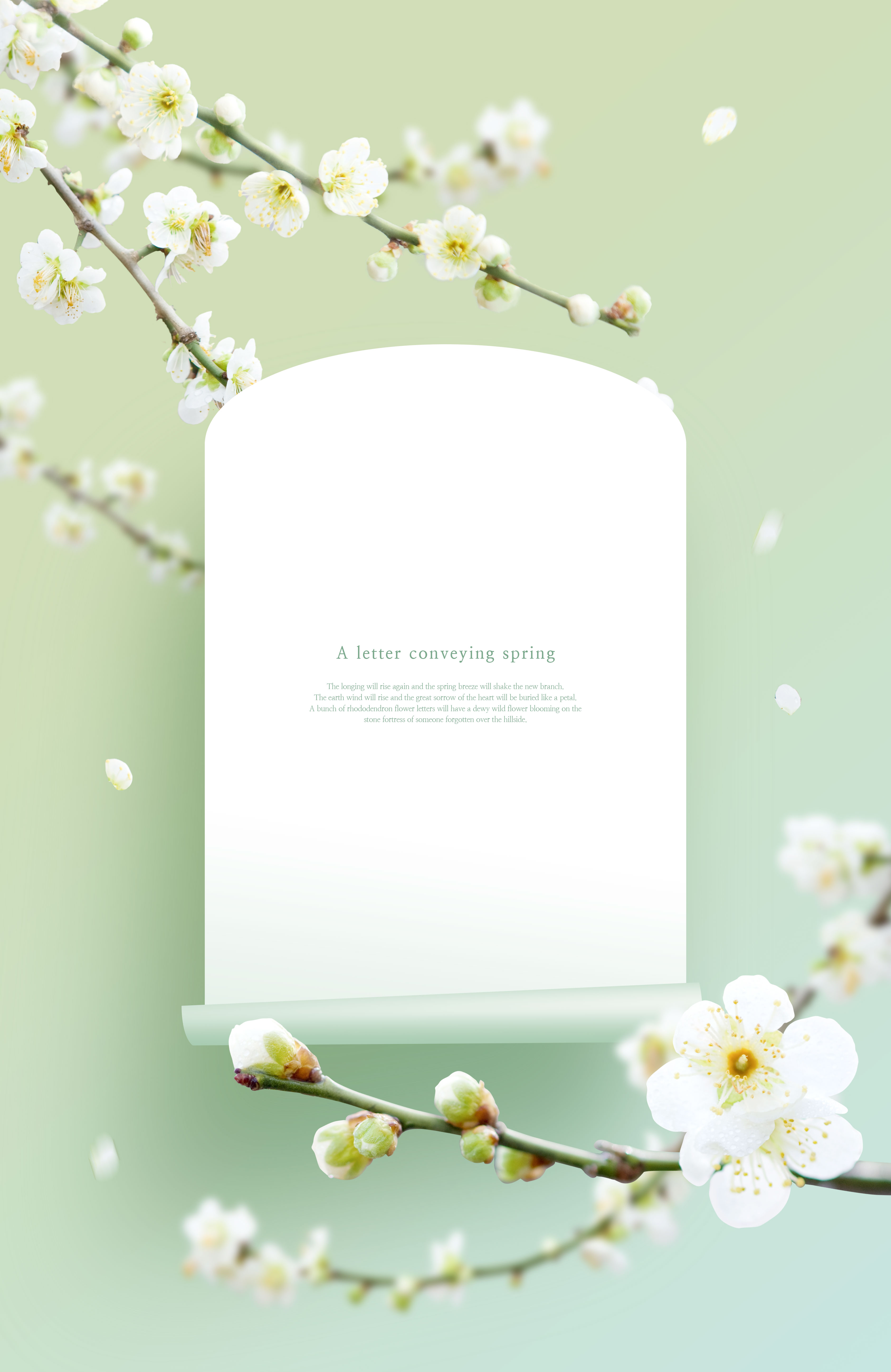 茉莉花-春天花卉主题海报/贺卡/信纸设计psd素材插图