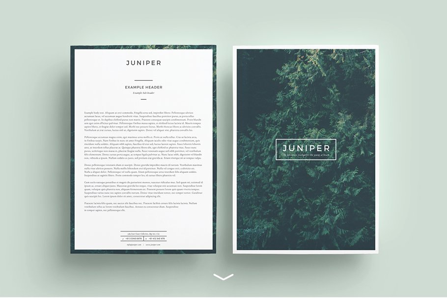 漂亮的多用途信笺模板 J U N I P E R Letterhead + Comps插图(1)