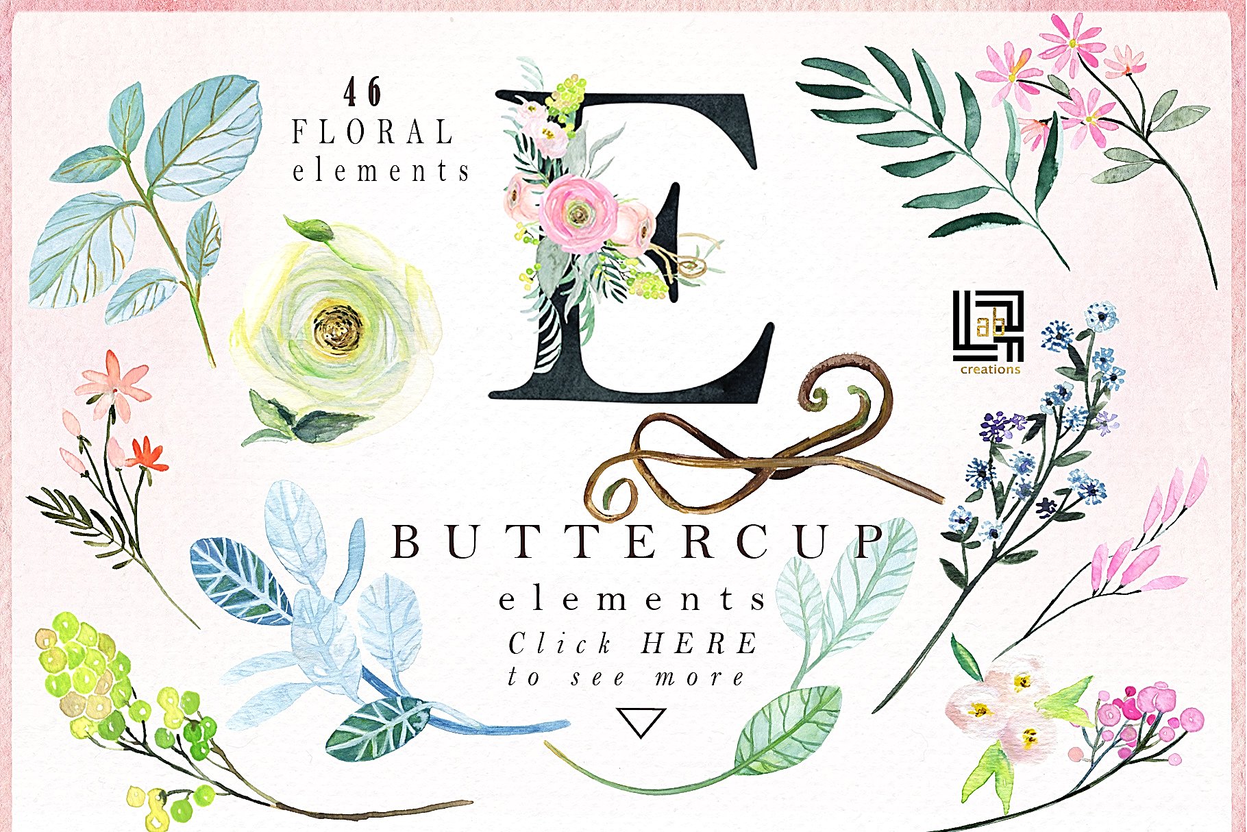 粉红色毛茛属植物水彩剪贴画 Buttercups. Ranunculus soft pink.插图(11)